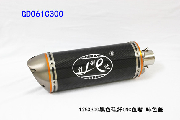 GD061C300