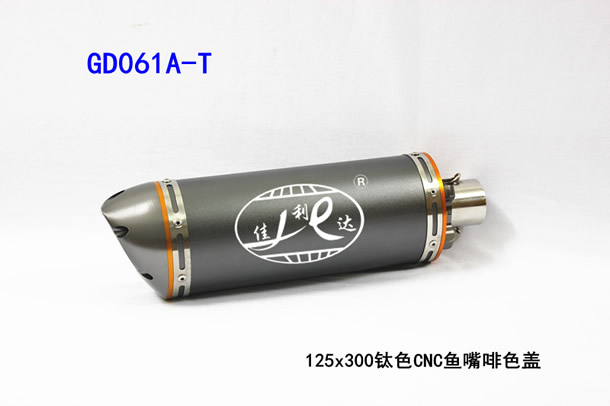 GD061A-T 125x300